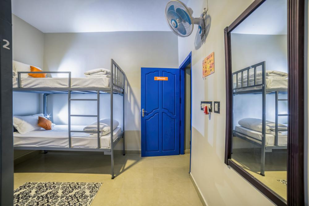 Bunk Beds in Dorms 4 bed Dorm