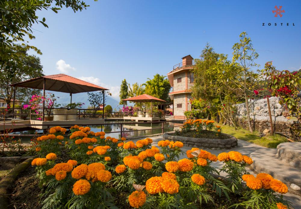 Área do jardim