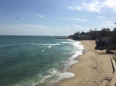Praia Local Image