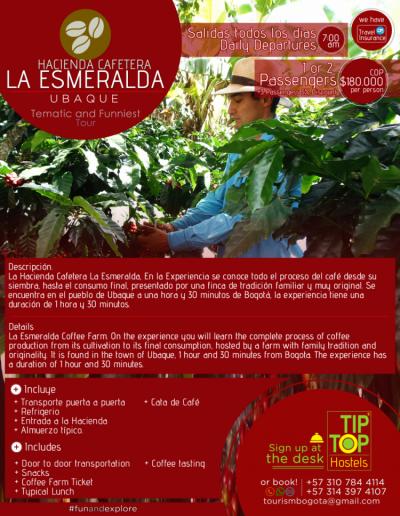 Excursão Hacienda Cafetera (fazenda de café) Image